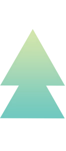 Intelektex Logo